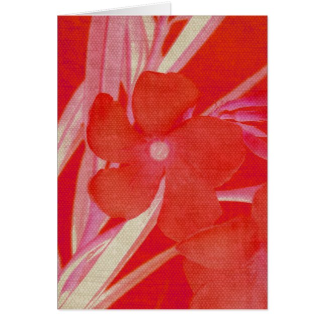 De rode Kaart van de Bloem (Voorkant)