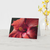 De rode Kaart van de Hibiscus (Gele Bloem)