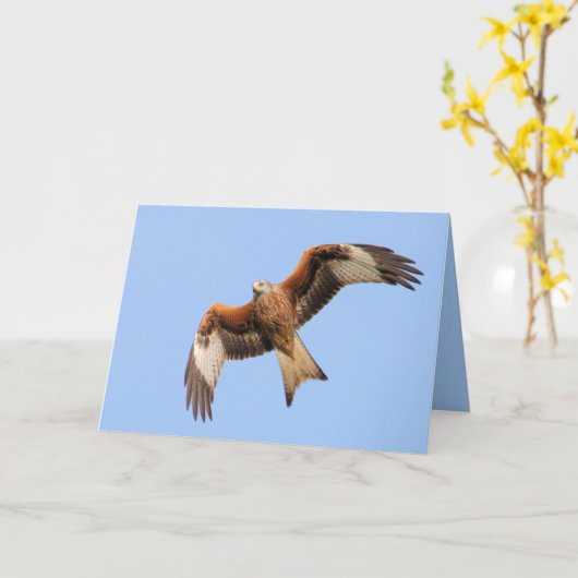 De rode Kaart van de Vlieger (Gele Bloem)