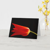 De rode kaart van tulpen lege groeten (Gele Bloem)