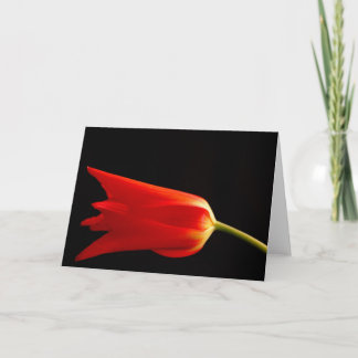 De rode kaart van tulpen lege groeten