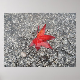 De rode kantoor zoomachtergrond van het blad"- poster