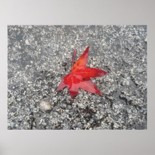 De rode kantoor zoomachtergrond van het blad"- poster