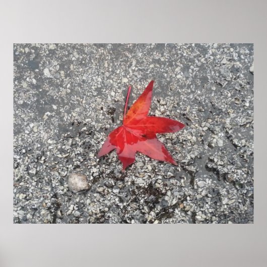 De rode kantoor zoomachtergrond van het blad"- poster (Voorkant)