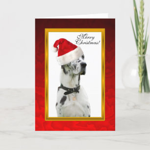 De Rode Kerstkaart van de Hond van Dalmation Feestdagen Kaart