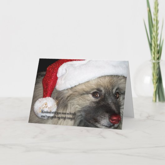 De rode Kerstkaart van Keeshond van de Neus Feestdagen Kaart (Voorkant)