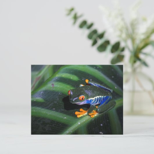 De rode Kikker van Ogen op Blad Briefkaart (Staand voorkant)