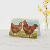 De Rode Kippen van Graham - van Rhode Island Kaart (Gele Bloem)