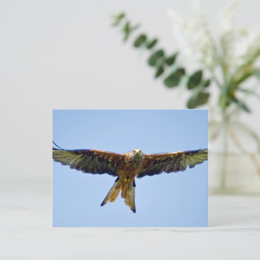 De Rode Kite Briefkaart (Staand voorkant)