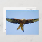 De Rode Kite Briefkaart (Voorkant / Achterkant)