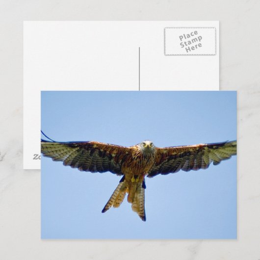 De Rode Kite Briefkaart (Voorkant / Achterkant)