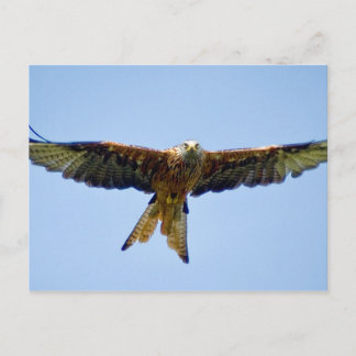 De Rode Kite Briefkaart