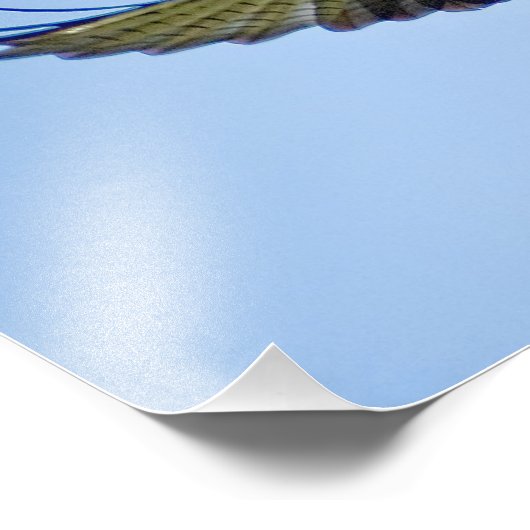 De Rode Kite Foto Afdruk (Hoek)