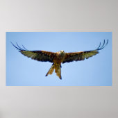 De rode kite poster (Voorkant)