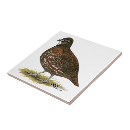 De Rode Kwartels van Tennessee Tegeltje (Zijkant)