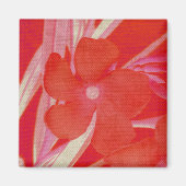 De rode Magneet van de Bloem (Voorkant)