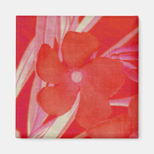 De rode Magneet van de Bloem (Voorkant)