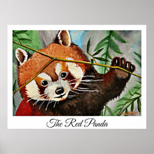 De Rode Panda Poster