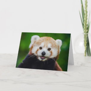 De rode panda Valentijn Kaart