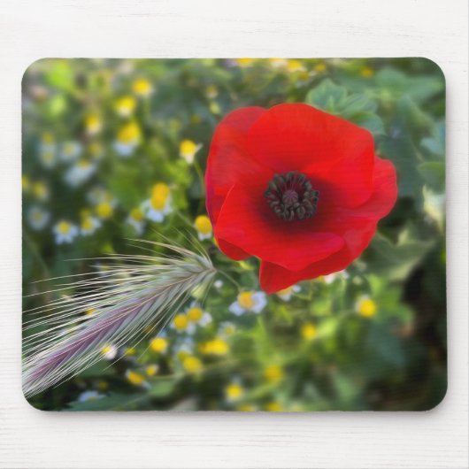 De rode papaver muismat (Voorkant)