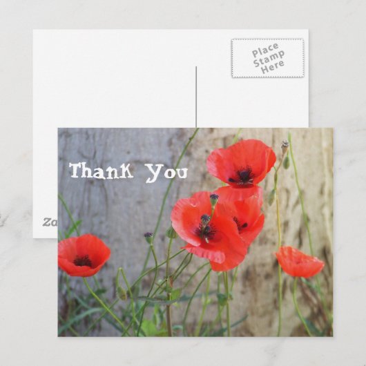 De rode Papavers van het Graan van het Gebied Briefkaart (Voorkant / Achterkant)