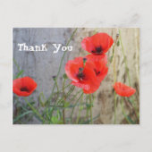 De rode Papavers van het Graan van het Gebied Briefkaart (Voorkant)