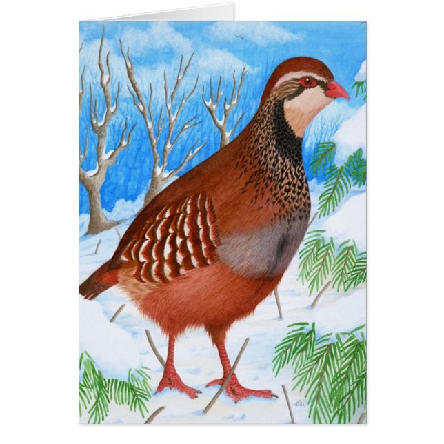 De rode patrijs (Voorkant)