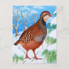 De rode patrijs briefkaart