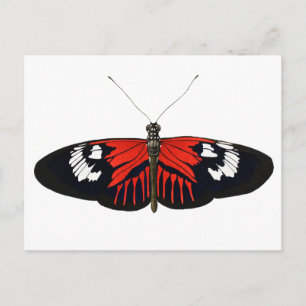 De Rode Postman Butterfly Briefkaart