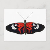De Rode Postman Butterfly Briefkaart (Voorkant)