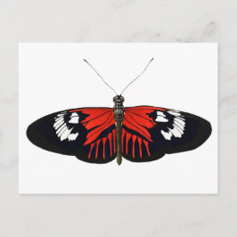 De Rode Postman Butterfly Briefkaart