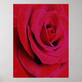 DE RODE ROOS POSTER