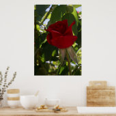 De Rode Roos Poster (Keuken)