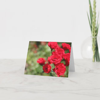 De rode Rozen verdwijnen in Nadruk Notecard Kaart