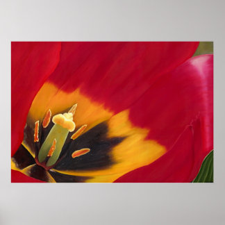 De Rode Tulp Poster