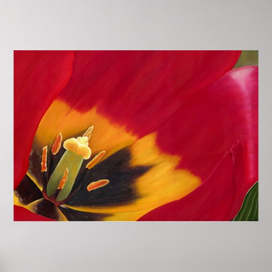 De Rode Tulp Poster (Voorkant)