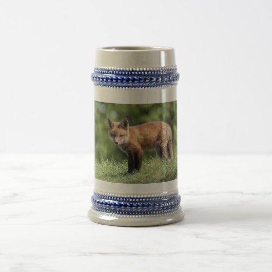 De rode Uitrusting van de Vos Bierpul (Center)