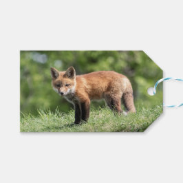 De rode Uitrusting van de Vos Cadeaulabel