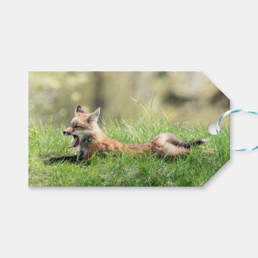 De rode Uitrusting van de Vos Cadeaulabel (Voorkant (Horizontaal))