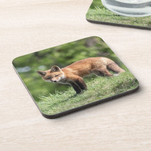 De rode Uitrusting van de Vos Drankjes Onderzetter (Linkerzijde)