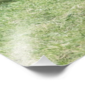 De rode Uitrusting van de Vos Foto Afdruk (Hoek)