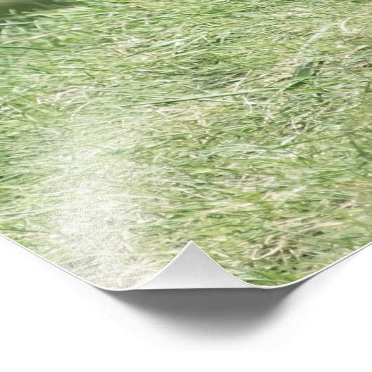 De rode Uitrusting van de Vos Foto Afdruk (Hoek)