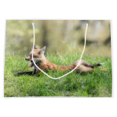 De rode Uitrusting van de Vos Groot Cadeauzakje (Voorkant)