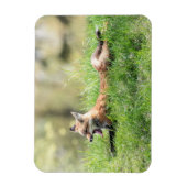 De rode Uitrusting van de Vos Magneet (Verticaal)