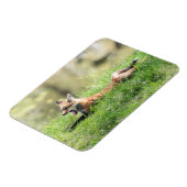 De rode Uitrusting van de Vos Magneet (Linkerzijde)