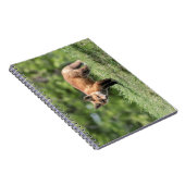 De rode Uitrusting van de Vos Notitieboek (Rechterzijde)