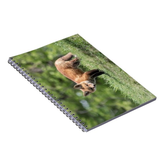 De rode Uitrusting van de Vos Notitieboek (Rechterzijde)