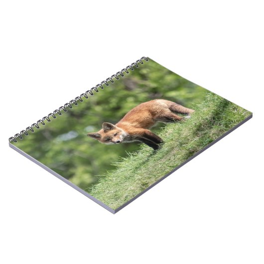 De rode Uitrusting van de Vos Notitieboek (Linkerzijde)