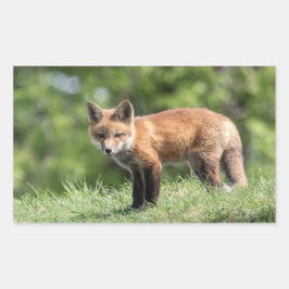 De rode Uitrusting van de Vos Rechthoekige Sticker