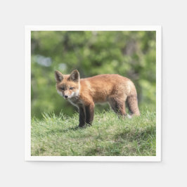 De rode Uitrusting van de Vos Servetten